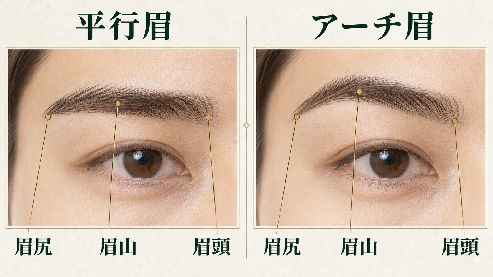 平行眉とアーチ眉の形を比較する